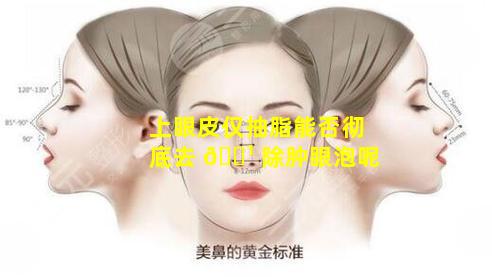上眼皮仅抽脂能否彻底去 🌹 除肿眼泡呢